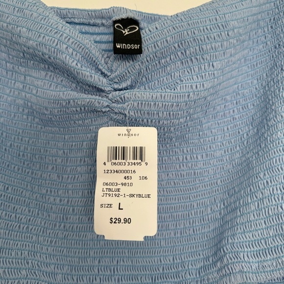 NWT Windsor light blue smocked top with sheer balloon sleeves size large - Picture 5 of 5